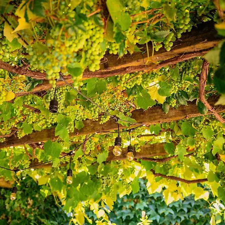 Casa Do Patio By Shiadu