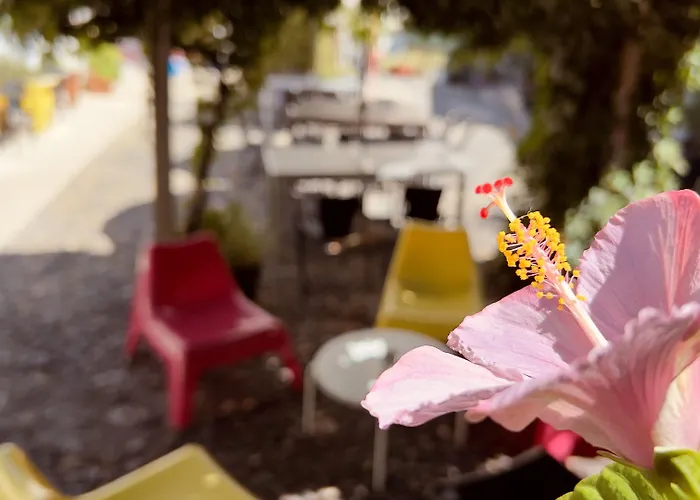 Casa Do Patio By Shiadu Гостевой дом Лиссабон