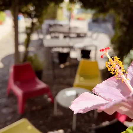 Casa Do Patio By Shiadu Affittacamere Lisbona